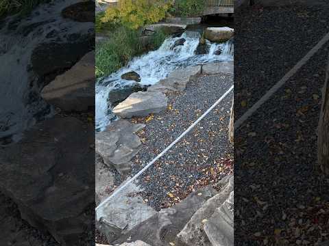 ASMR Little Waterfall Sounds #ASMR #Shorts