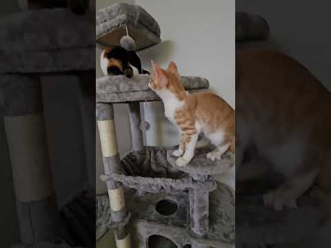 Jaydyn and Spooks