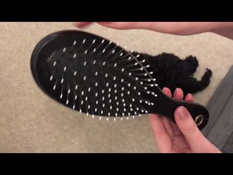 ASMR Puppy Brushing and Whispering