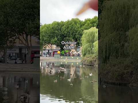 Outdoor asmr #asmr #outdoorasmr #viralshorts #trendingshorts
