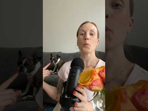 Testataan Madaran meikkivoidetta ASMR