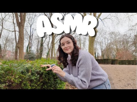 ASMR dans la forêt