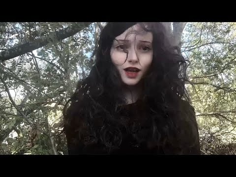 chaotic forest ASMR