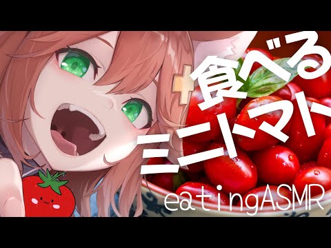 【咀嚼音ASMR】ミニトマト食べる🍅＆おなかの音eating sound/tomato