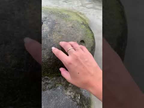 ASMR at the beach