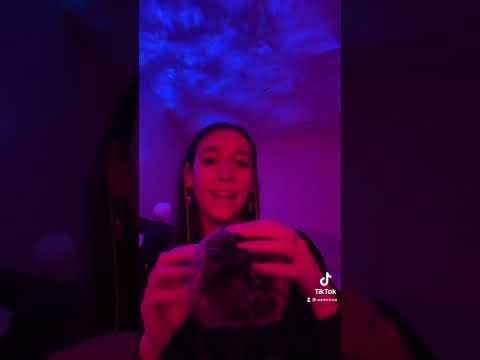 ASMR bug search🐛