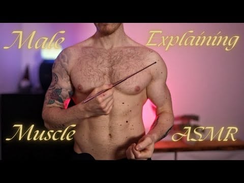 ASMR | Male Muscle Tracing - Explaining Training Regimin