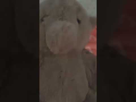 asmr give little tingles elephant
