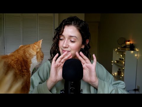 ASMR Cat Cuddles & Lovin' 😽 (purring, treat smacking, fur grooming)