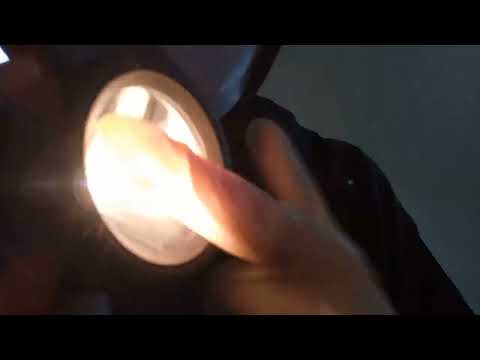ASMR | Something is in your Ear (Close up personal attention & Inaudible whisper)