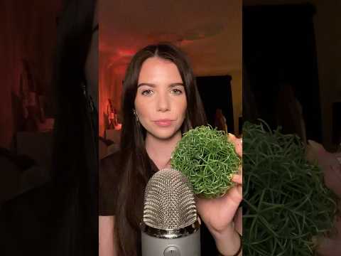 Grass Ball ASMR #asmr #relax #triggersforsleep #tingles #satisfying #sleep #relaxing #tingle