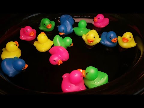 Stirring Rubber Ducks ASMR