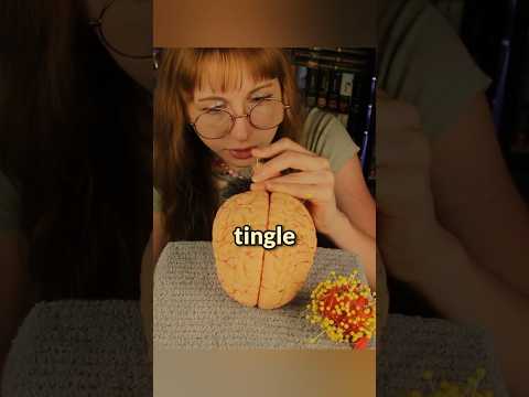 ASMR Needles in your brain