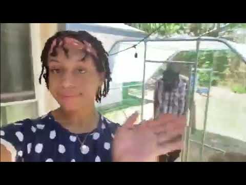 Dogs get a new House