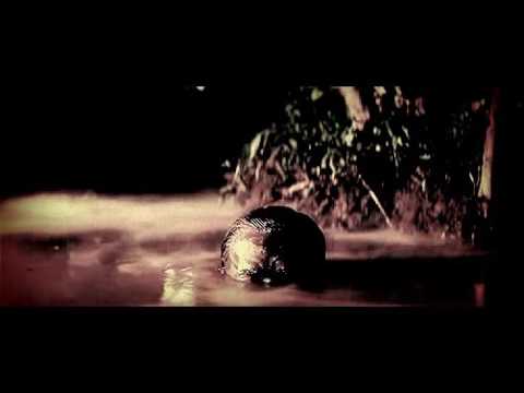 Nederlandse [[ASMR]]  "HET MOERAS" spannend verhaal, niet voor het slapen gaan !