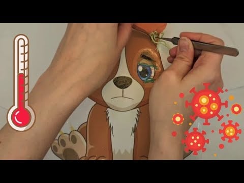 Fix a sick puppy with me ASMR doodle pulling and layered triggers