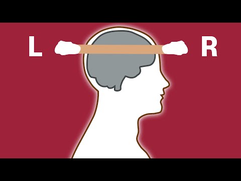 ASMR 귀 → 뇌 → 귀 관통 실화입니까..😨 귀청소 (노토킹)