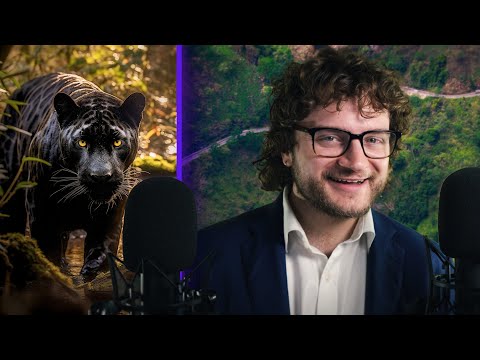 ASMR: British Big Cats, Cryptid Mystery | Ear-to-ear Whispering