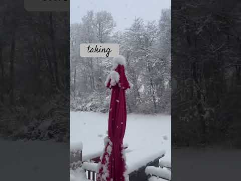 Snowy Lazy Days — Who Needs ’Em?! I Do.