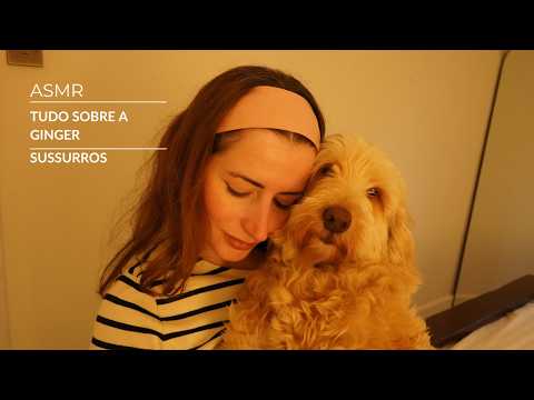 ASMR: Tudo sobre o lar temporário da Ginger - Sussurros | SOLANGE PRATA