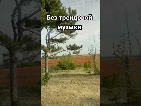Прекрасные кадры с моей поездки😍 больше фото Inst: _k.r.i.s.t.i.n.a_b._
