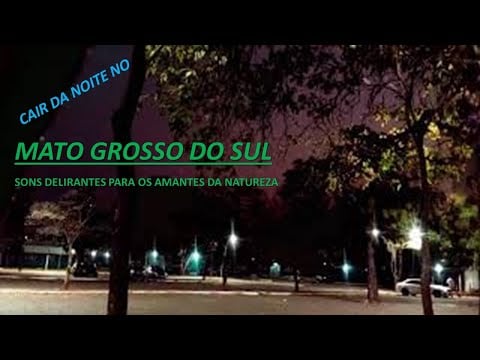SINTA UMA PAZ PROFUNDA COM ESSAS IMAGENS E SONS DA REGIÃO DO PANTANAL - ANOITECER [CÉU ROSADO]