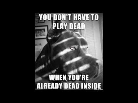 [ASMR] soft reading: existentialist wisdom