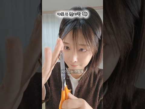 무쌍은 앞머리 이렇게 자르면(안)망해요 3탄