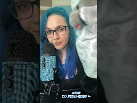 ASMR COUNTING SHEEP 🐑😴(full on ✅⏰) #asmr #asmrcounting #countingasmr #shorts