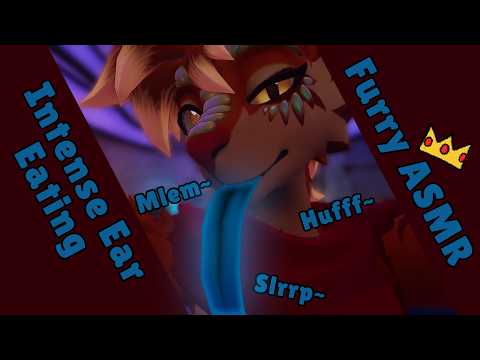 Intense Ear Eating and Kissing (Maw Sounds Only) || VR FURRY ASMR 🧡🐱