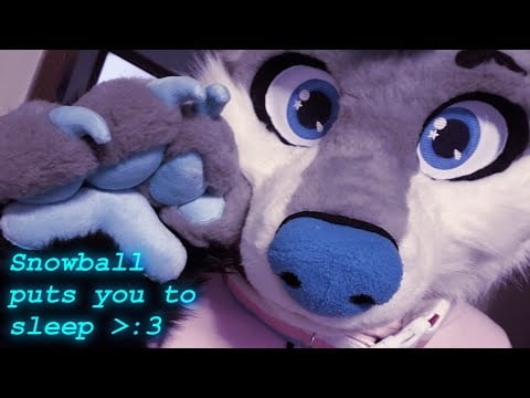 [Furry ASMR] Snowball puts you to sleep uwu (talking, mouth sounds)