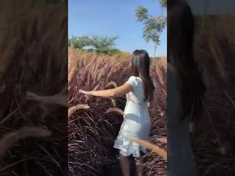 Relaxe em 1 minuto com sons de natureza #shorts