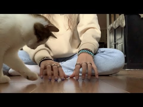 floor tapping/scurrying up to the camera - with my cat!!! [ASMR]