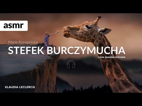 ASMR STEFEK BURCZYMUCHA - bajka dla dzieci