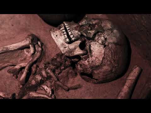"This is Lucy" written by "thunderspoke"