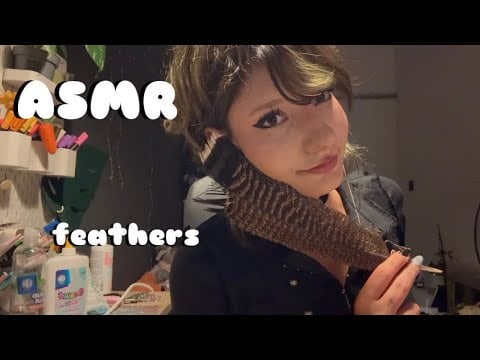 𑣲ASMR || feathers 🪶 