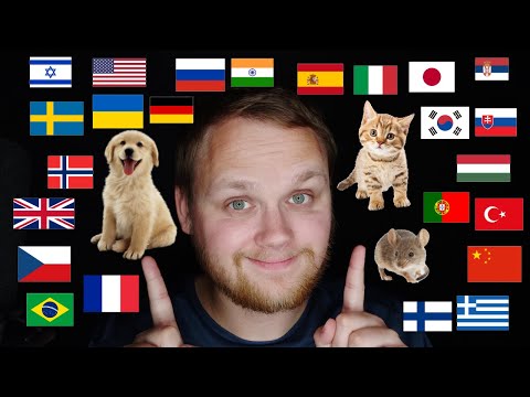 Whispering DOG🐶, CAT🐱 and MOUSE🐭 in 41 languages (ASMR guess the language)