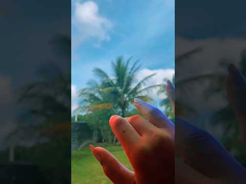 Asmr na natureza #asmrsounds #relax #asmr #asmrnature