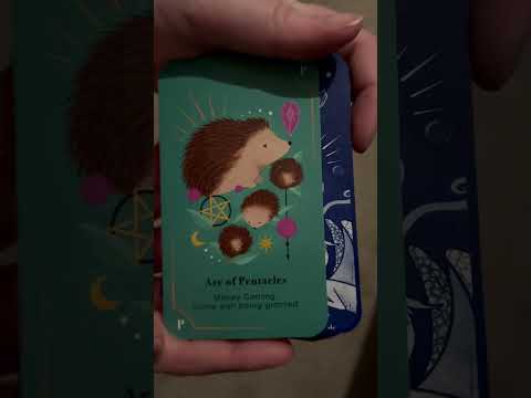 How cute is this card? 🥰 #tarotreading