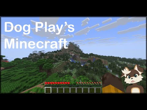 Dog Play's Minecraft, Beating The Ender Dragon.