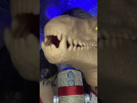 ASMR Dinossauro 🦖 ✨❤️ #asmrrelxing #asmrtingles #asmrrelaxingvideo #asmr #lyasmr_
