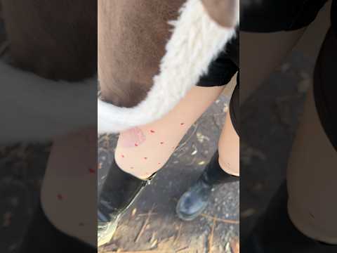 ASMR mit Pünktchen und Herzen auf der Hose in der warmen Frühlingssonne. 🌸