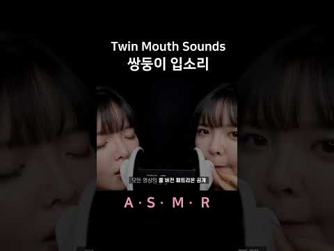 #asmr Twin Mouth Sounds 쌍둥이 입소리