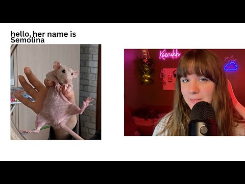 ASMR RATING MY SUBSCRIBERS PETS (part 2)