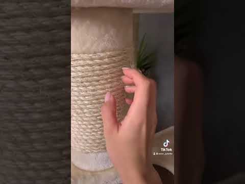ASMR Scratching, Tapping with my CAT 😻❤️