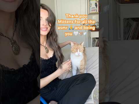 ASMR Cat purring and brushing sounds. A tribute to my forever Mittens 🧡 #asmrshorts #asmrpurr
