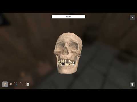 ASMR In Stupid Cellar