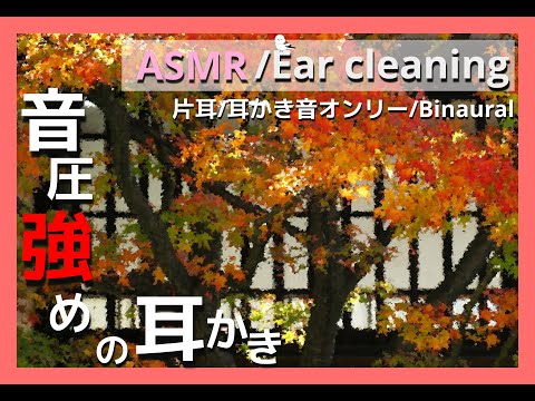 【ASMR/Ear Cleaning/Binaural】涼しくなった夜のおともに…【片耳版/耳かき音/イヤホン必須】