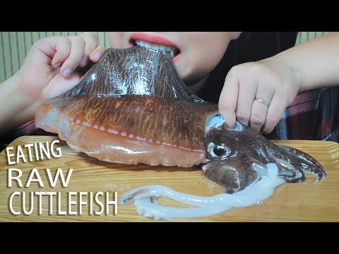 ASMR EATING RAW CUTTLEFISH AND STIR FRIED CUTTLEFISH WITH BITTER MELON | LINH-ASMR 먹방