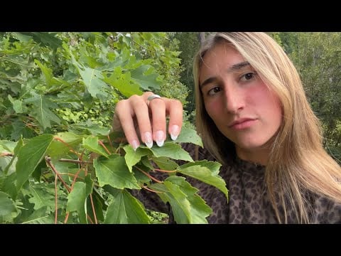 lofi ASMR textures in the forest